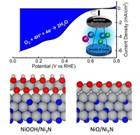 Precious Metal-Free Nickel Nitride Catalyst for the Oxygen Reduction Reaction