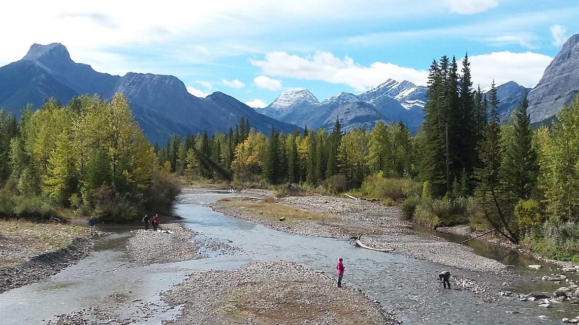 Water sampling in Kananaskis