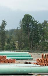 Pipe for pipelines lays piled on ground