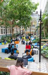 UCalgary atrium