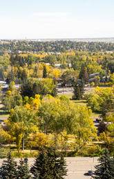 UCalgary fall campus