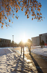 UCalgary campus