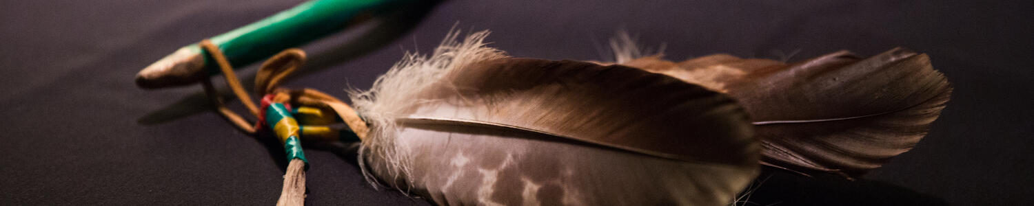 Connecting to Indigenous Strategy