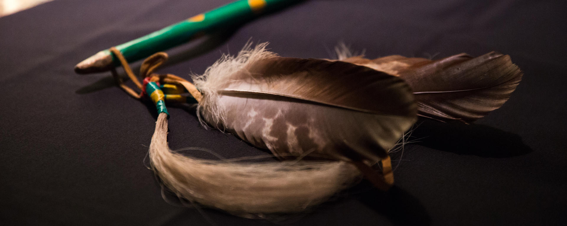 Three feathers sit on a black table