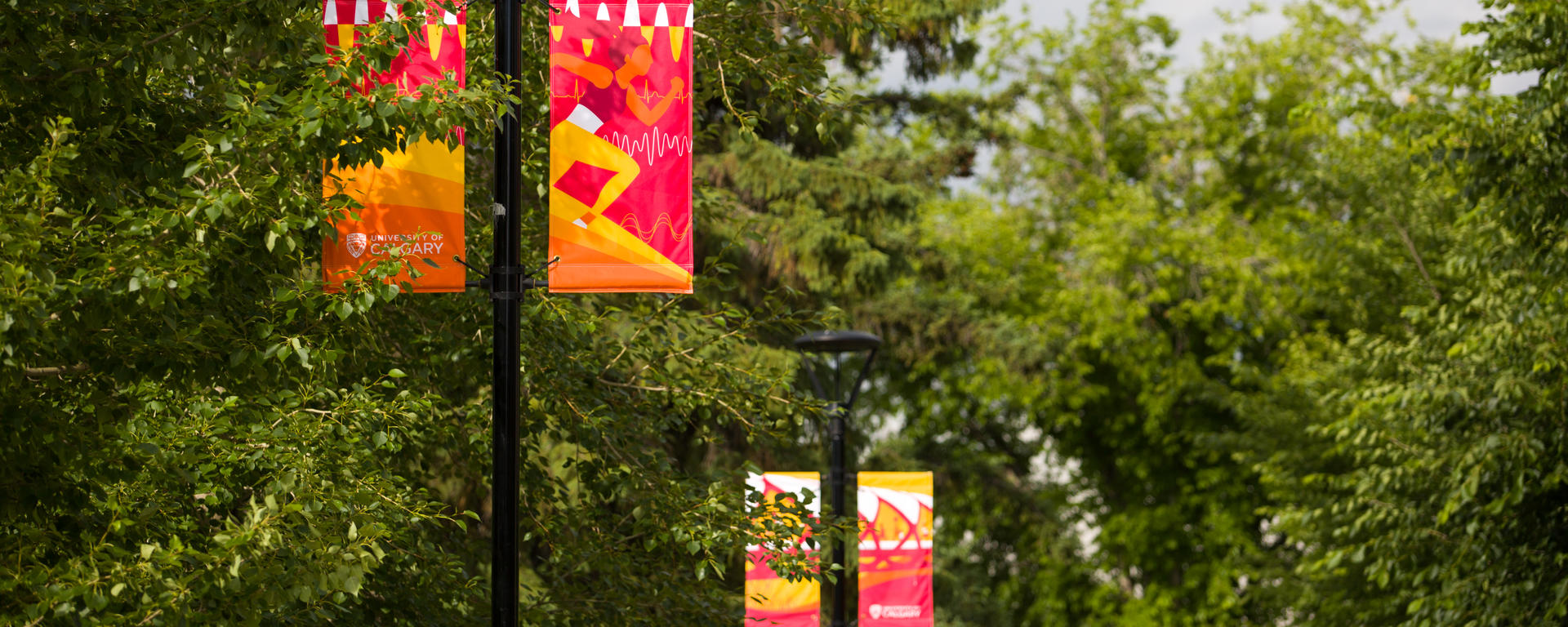 Light standards at UCalgary with colourful flags