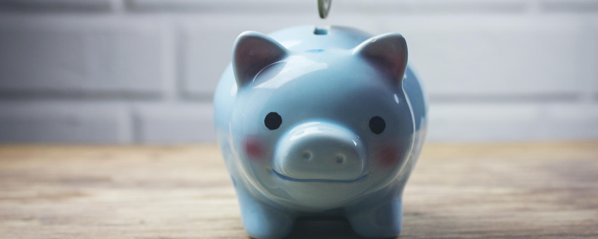A hand places a coin in a blushing blue piggy bank