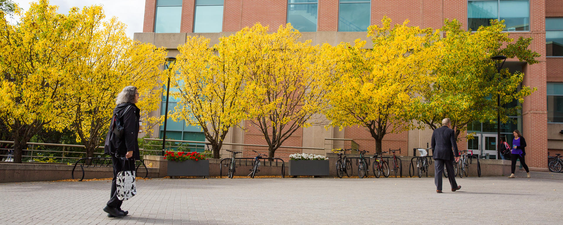 An exterior shot of Murray Fraser Hall, home of the Faculty of Law on a sunny fall day.