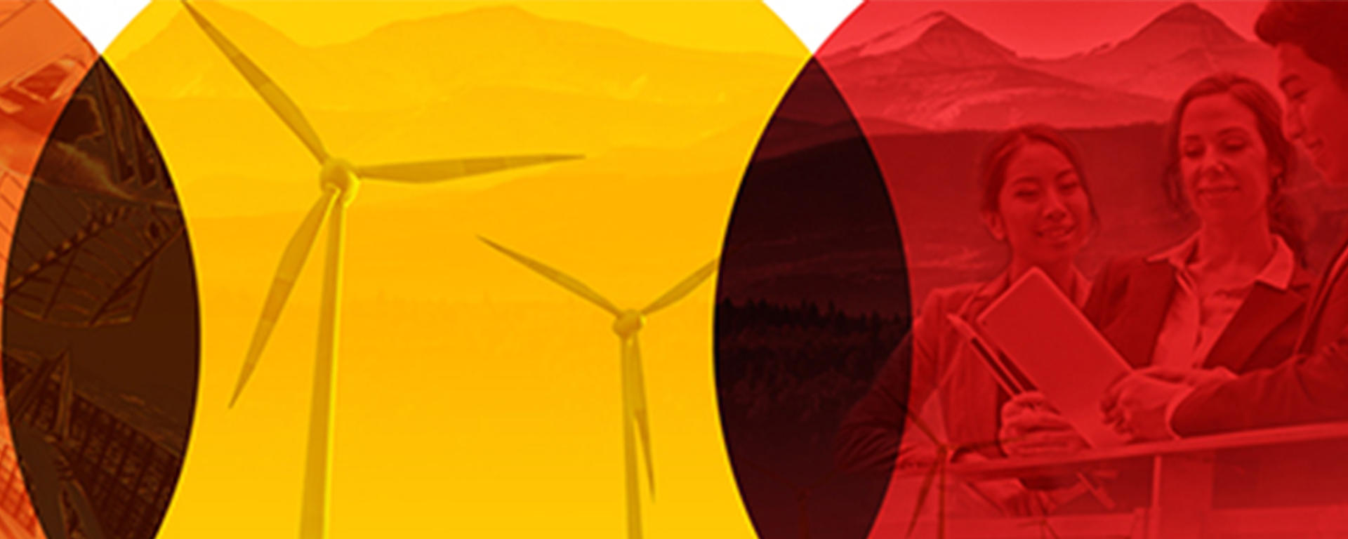 Faculty of Law Strategic Plan graphic