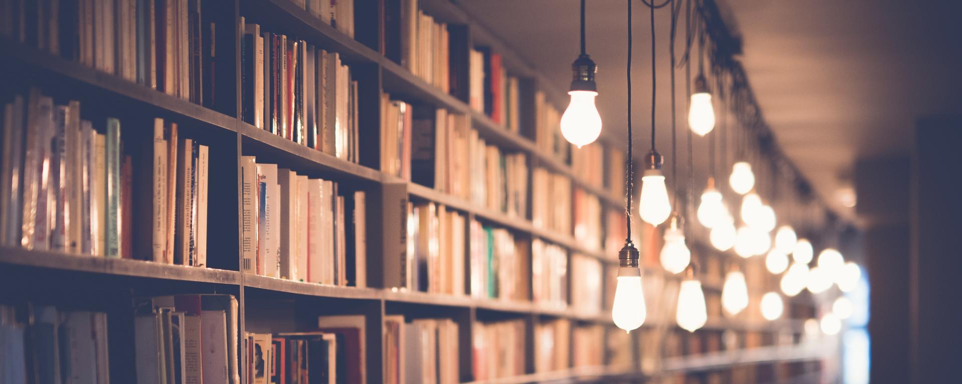 Stacks of books on shelves in a dimly lit room. A number of bare lightbulbs hang from the ceiling.