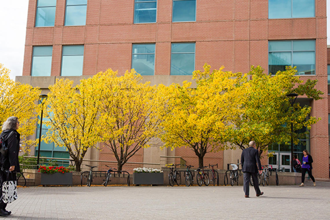 Three people walk in the courtyard outside Murray Fraser Hall on a fall day. The trees in front of the building are decked out with yellow leaves.