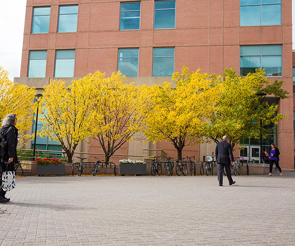 Three people walk in the courtyard outside Murray Fraser Hall on a fall day. The trees in front of the building are decked out with yellow leaves.