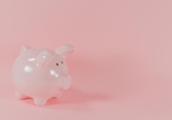 A pink piggy bank on a pink background