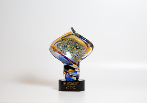 UCalgary EDI Award